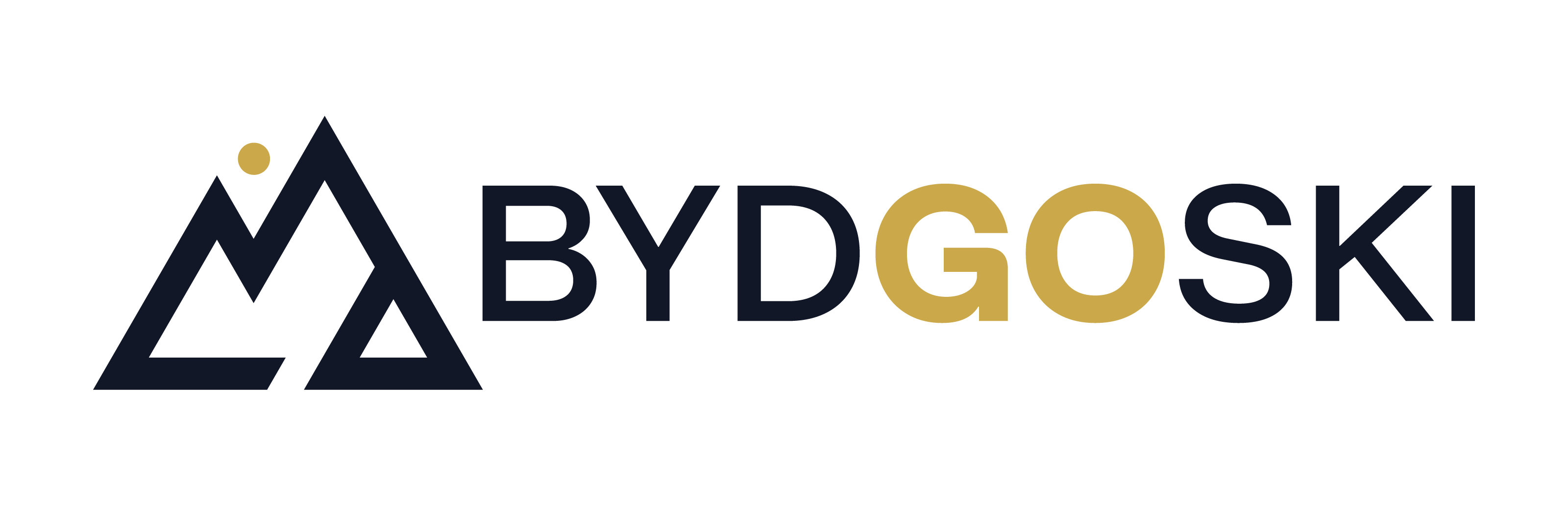 BYD-GO-SKI logo